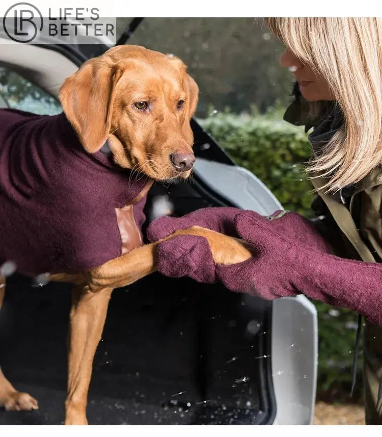Ultra-Absorbent Pet Drying Gauntlets Life’s Better Ltd