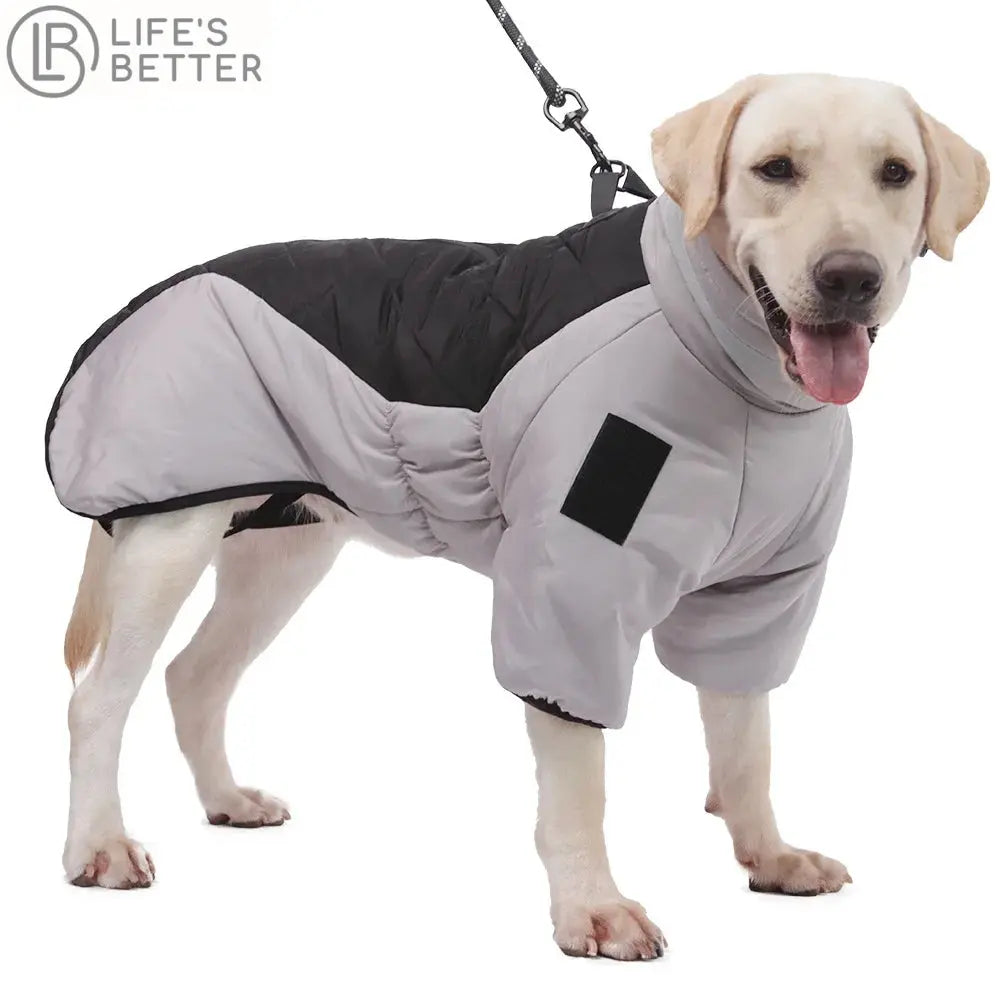 Waterproof Large Dog Coat UPTO 6XL Life’s Better Ltd