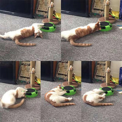 Interactive Turntable Roller Mouse Cat Toy.