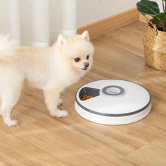 Automatic Pet Feeder.