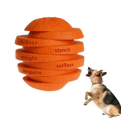 Indestructible Dog Chew Toy and Treat Dispenser.