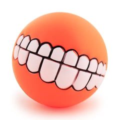 Pet Ball Teeth Silicon Dog Chew Toy.