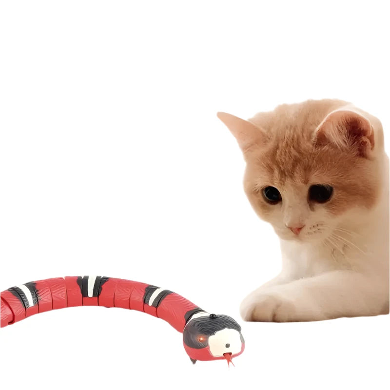 Automatic Electronic Snake Interactive Cat Toy.