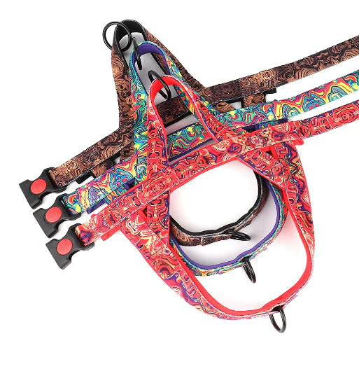 Nylon Dog  Harness with Leash.