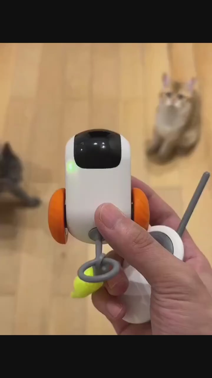 Endless Fun Awaits with Our Smart Car Cat Toy.