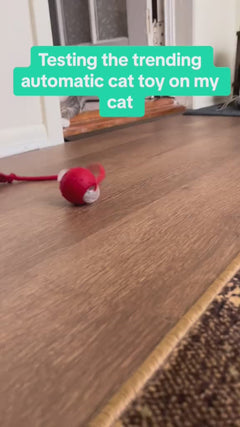 Interactive Electronic Cat Ball Toy.