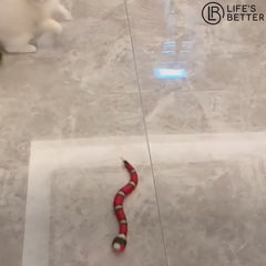 Automatic Electronic Snake Interactive Cat Toy.