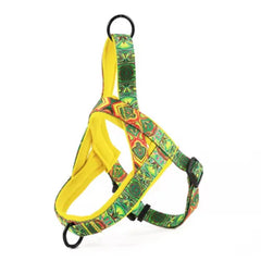 Nylon Dog  Harness with Leash.