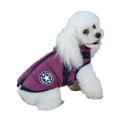 Waterproof Dog Coat & Harness.